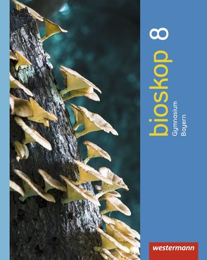 bioskop SI – Ausgabe 2014 für Bayern von Hausfeld,  Rainer