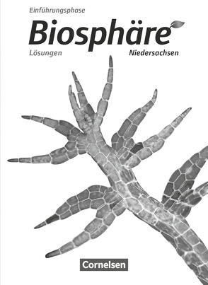 Biosphäre Sekundarstufe II – Niedersachsen – Einführungsphase von Agster,  Astrid, Auerbach,  Stefan, Becker,  Joachim, Bils,  Werner, Felch,  Robert, Gröne,  Christian, Janz,  Horst, Jütte,  Michael, Meisert,  Anke, Nixdorf,  Delia, Pohlmann,  Monika, Post,  Martin, Rupp,  Gabriele, Schiek,  Ulrike, Schrank,  Stephanie, Stoll,  Matthias, Szabados,  Michael, Wiechern,  Volker