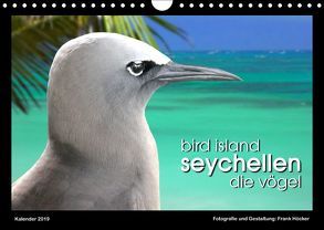 Bird Island Seychellen – die Vögel (Wandkalender 2019 DIN A4 quer) von Höcker,  Frank