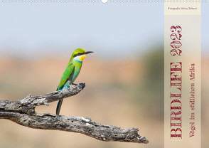 Birdlife – Vögel im südlichen Afrika (Wandkalender 2023 DIN A2 quer) von Trüssel,  Silvia