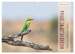 Birdlife – Vögel im südlichen Afrika (Wandkalender 2024 DIN A2 quer), CALVENDO Monatskalender von Trüssel,  Silvia