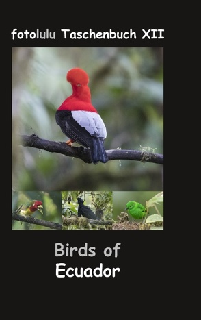 Birds of Ecuador von fotolulu