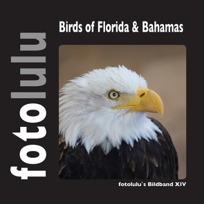 Birds of Florida & Bahamas von fotolulu