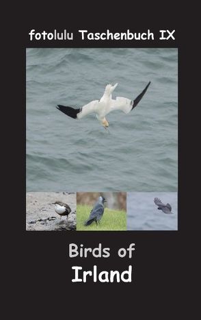 Birds of Irland von fotolulu