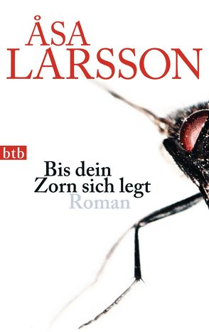 Bis dein Zorn sich legt von Haefs,  Gabriele, Larsson,  Åsa