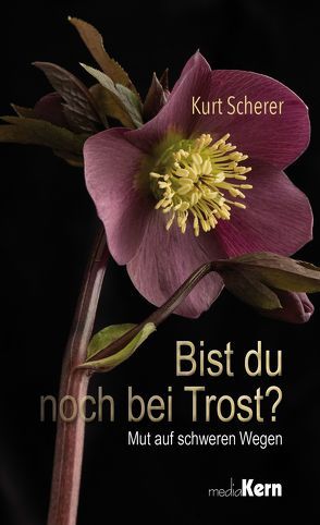 Bist du noch bei Trost? von Scherer,  Kurt