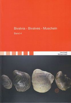 Bivalvia – Bivalves – Muscheln von Kraeft,  Michael, Kraeft,  Uwe