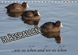 Blässrallen – wie sie leben und wo sie leben (Tischkalender 2018 DIN A5 quer) von Herbolzheimer,  Carl-Peter