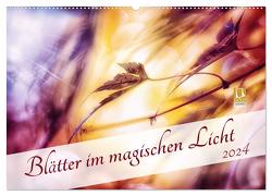 Blätter im magischen Licht (Wandkalender 2024 DIN A2 quer), CALVENDO Monatskalender von Koch,  Nicc