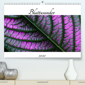 Blattwunder (Premium, hochwertiger DIN A2 Wandkalender 2020, Kunstdruck in Hochglanz) von Otte,  Dagmar