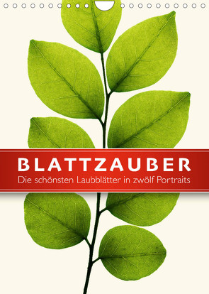 Blattzauber (Wandkalender 2022 DIN A4 hoch) von Art Print,  Wildlife