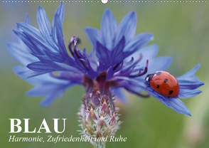 Blau. Harmonie, Zufriedenheit und Ruhe (Wandkalender 2021 DIN A2 quer) von Stanzer,  Elisabeth