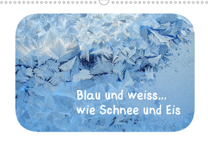 Blau und weiss… wie Schnee und Eis (Wandkalender 2021 DIN A3 quer) von Berger (Kabefa),  Karin