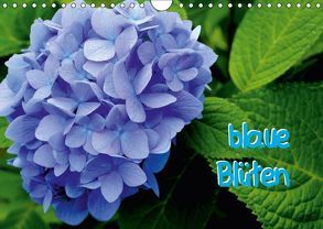 blaue Blüten (Wandkalender 2018 DIN A4 quer) von tinadefortunata