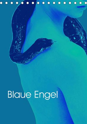 Blaue Engel (Tischkalender 2020 DIN A5 hoch) von Winter,  Eike