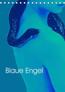 Blaue Engel (Tischkalender 2022 DIN A5 hoch) von Winter,  Eike