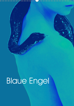 Blaue Engel (Wandkalender 2020 DIN A2 hoch) von Winter,  Eike