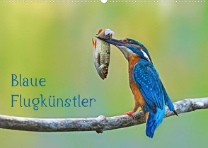 Blaue Flugkünstler (Wandkalender 2022 DIN A2 quer) von Oldani,  Dorothea