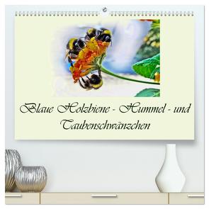 Blaue Holzbiene – Hummel – und Taubenschwänzchen. (hochwertiger Premium Wandkalender 2024 DIN A2 quer), Kunstdruck in Hochglanz von Djeric,  Dusanka