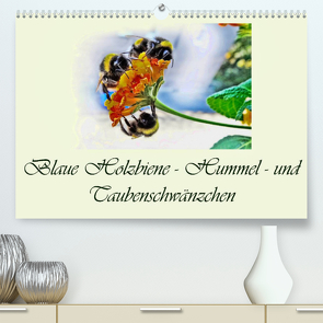 Blaue Holzbiene – Hummel – und Taubenschwänzchen. (Premium, hochwertiger DIN A2 Wandkalender 2023, Kunstdruck in Hochglanz) von Djeric,  Dusanka