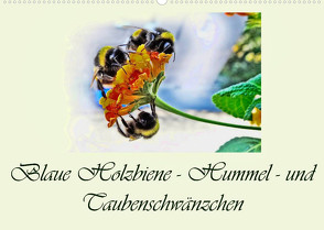 Blaue Holzbiene – Hummel – und Taubenschwänzchen. (Wandkalender 2023 DIN A2 quer) von Djeric,  Dusanka