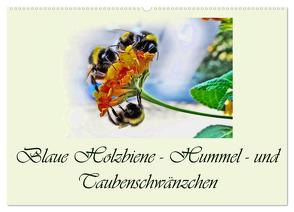 Blaue Holzbiene – Hummel – und Taubenschwänzchen. (Wandkalender 2024 DIN A2 quer), CALVENDO Monatskalender von Djeric,  Dusanka