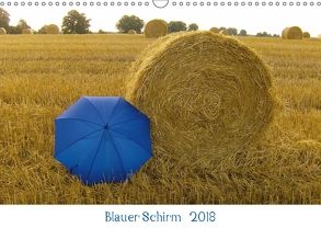 Blauer Schirm 2018 (Wandkalender 2018 DIN A3 quer) von Blauer Schirm,  Edition