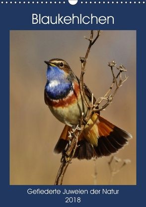 Blaukehlchen. Gefiederte Juwelen der Natur. (Wandkalender 2018 DIN A3 hoch) von Schaack,  René