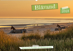 Blåvand – Dänemarks Paradies am Nordseestrand (Wandkalender 2023 DIN A2 quer) von AkremaFotoArt