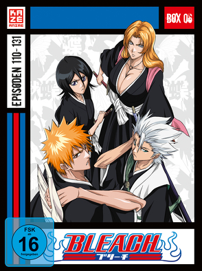 Bleach TV Serie – DVD Box 6 (Episoden 110-131) (4 DVDs) von Abe,  Noriyuki