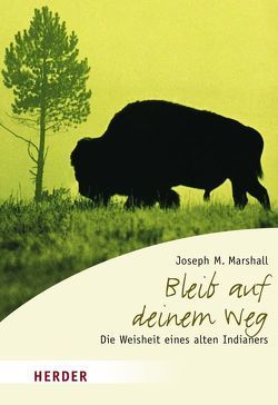 Bleib auf deinem Weg von Marshall,  Joseph M, Schleipen,  Andrea