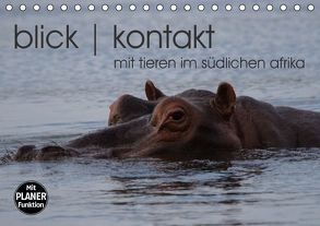 blick kontakt mit tieren im südlichen afrika (Tischkalender immerwährend DIN A5 quer) von rsiemer,  k.A.