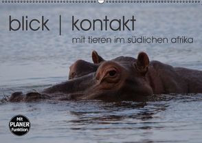 blick kontakt mit tieren im südlichen afrika (Wandkalender immerwährend DIN A2 quer) von rsiemer,  k.A.