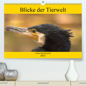 Blicke der Tierwelt (Premium, hochwertiger DIN A2 Wandkalender 2021, Kunstdruck in Hochglanz) von Andreas Lederle,  Kevin