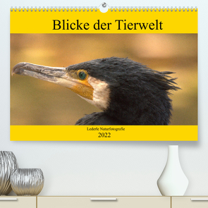 Blicke der Tierwelt (Premium, hochwertiger DIN A2 Wandkalender 2022, Kunstdruck in Hochglanz) von Andreas Lederle,  Kevin