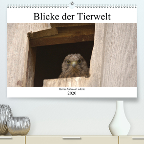 Blicke der Tierwelt (Premium, hochwertiger DIN A2 Wandkalender 2020, Kunstdruck in Hochglanz) von Andreas Lederle,  Kevin