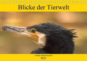 Blicke der Tierwelt (Tischkalender 2021 DIN A5 quer) von Andreas Lederle,  Kevin