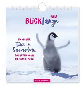 Blickfänge 2018