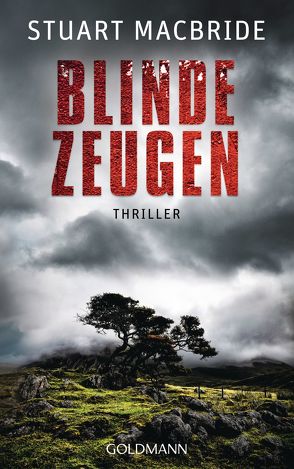 Blinde Zeugen von Jaeger,  Andreas, MacBride,  Stuart