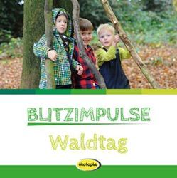 Blitzimpulse Waldtag von Bestle-Körfer,  Regina, Geißelbrecht-Taferner,  Leonore, Gouder,  Dirk, Grüger,  Constanze, Hemming,  Antje, Hesebeck,  Birthe, Lilitakis,  Georg, Meske,  Mara, Möller,  Michael C., Neumann,  Antje, Neumann,  Burkhard, Saudhof,  Kathrin, Schulz,  Stefan, Stollenwerk,  Annemarie, Stumpf,  Birgitta, Weyhe,  Susanne