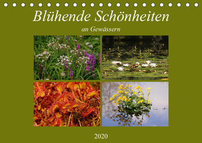 Blühende Schönheiten an Gewässern (Tischkalender 2020 DIN A5 quer) von Erlwein,  Winfried