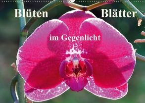 Blüten Blätter im Gegenlicht (Wandkalender 2018 DIN A2 quer) von Masalowicz,  Gabriele