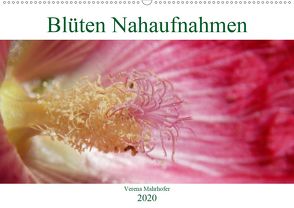 Blüten Nahaufnahmen (Wandkalender 2020 DIN A2 quer) von Mahrhofer,  Verena