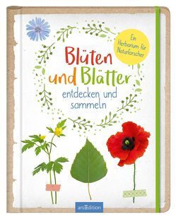 Blüten und Blätter entdecken und sammeln von Linstadt,  Anna