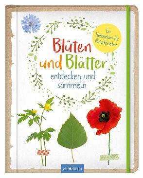 Blüten und Blätter entdecken und sammeln von Linstadt,  Anna