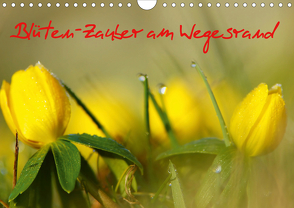 Blüten-Zauber am Wegesrand 2021 (Wandkalender 2021 DIN A4 quer) von Klapp,  Lutz