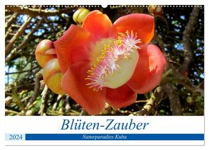 Blüten-Zauber – Naturparadies Kuba (Wandkalender 2024 DIN A2 quer), CALVENDO Monatskalender von von Loewis of Menar,  Henning