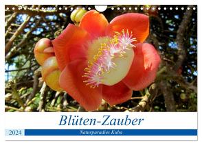 Blüten-Zauber – Naturparadies Kuba (Wandkalender 2024 DIN A4 quer), CALVENDO Monatskalender von von Loewis of Menar,  Henning