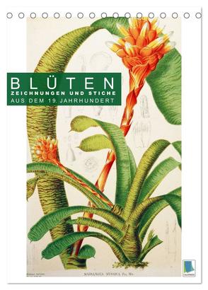 Blüten: Zeichnungen und Stiche aus dem 19. Jahrhundert (Tischkalender 2024 DIN A5 hoch), CALVENDO Monatskalender von CALVENDO,  CALVENDO