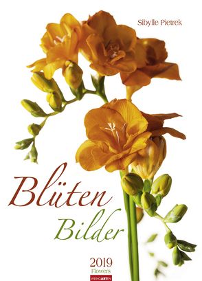 Blütenbilder – Kalender 2019 von Pietrek,  Sibylle, Weingarten